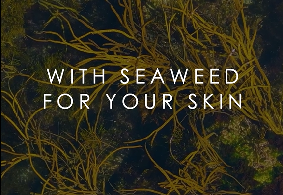 Seaweed for your skin