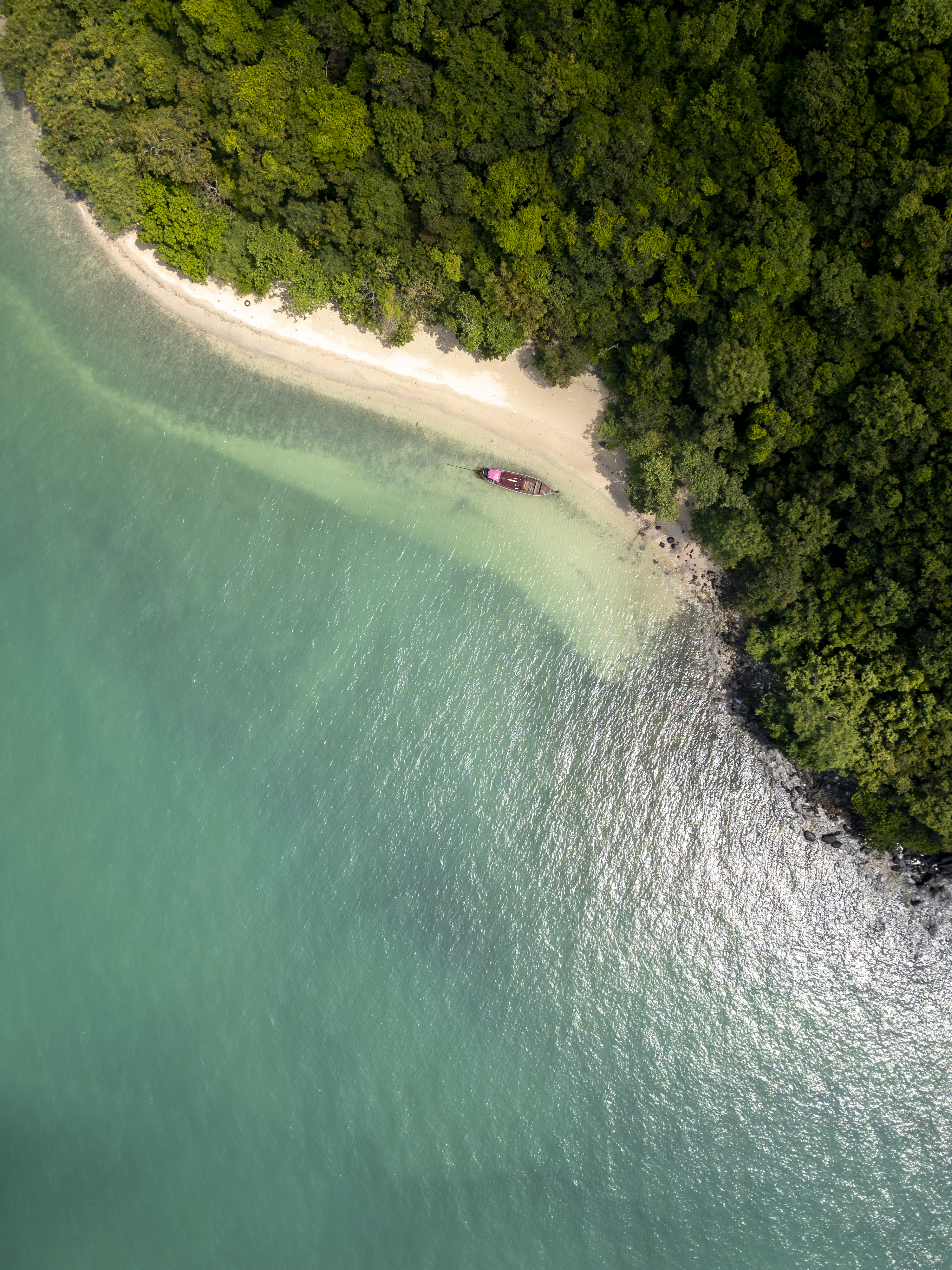 Sustainable ocean harvesting